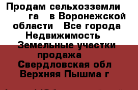 Продам сельхозземли ( 6 000 га ) в Воронежской области - Все города Недвижимость » Земельные участки продажа   . Свердловская обл.,Верхняя Пышма г.